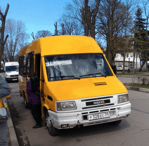 Автобус из Зеленоградска на Куршскую косу