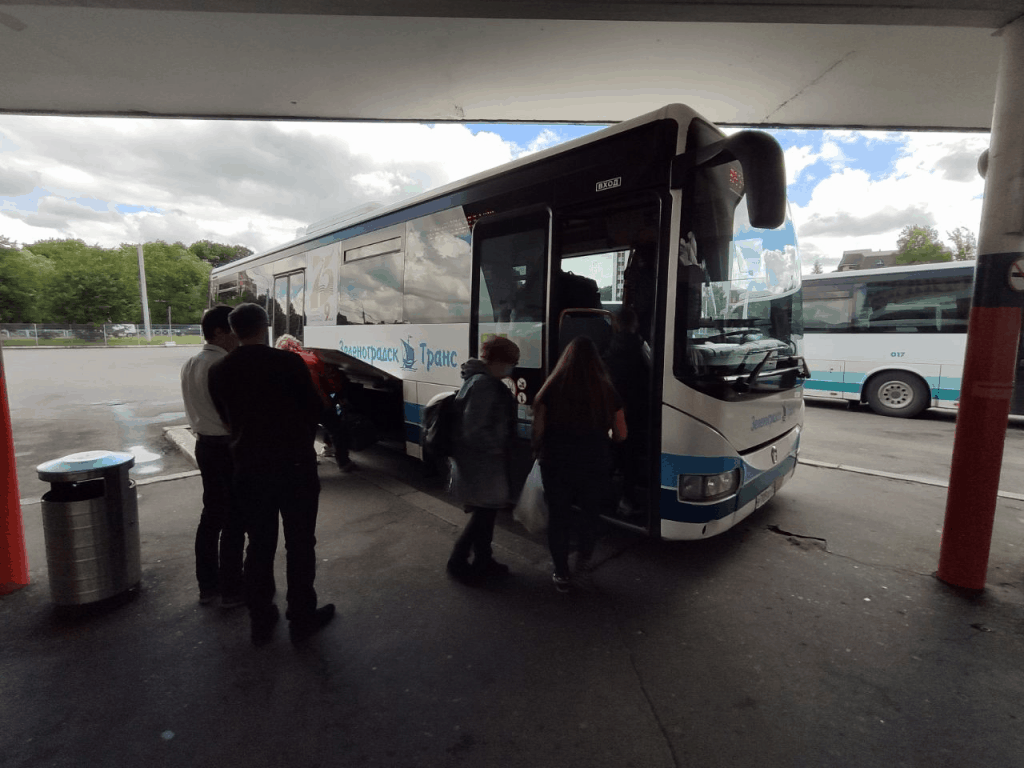 Автобус из Калининграда на Куршскую косу