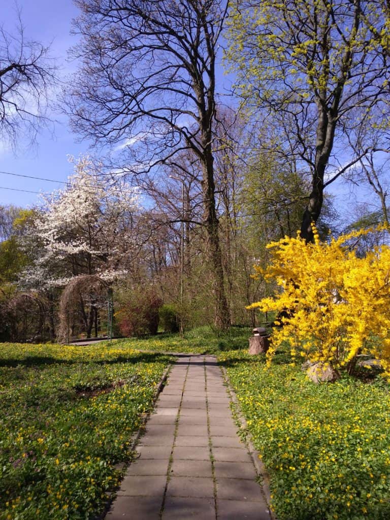 Ландшафтный парк Калининград. Весна
