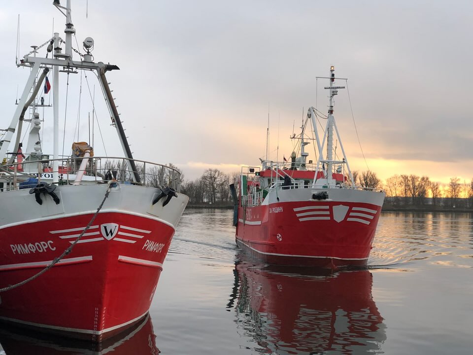 Рыбный флот калининградской компании «За Родину»