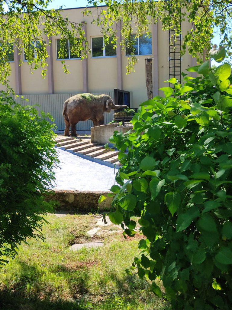 Зоопарк Калининграда