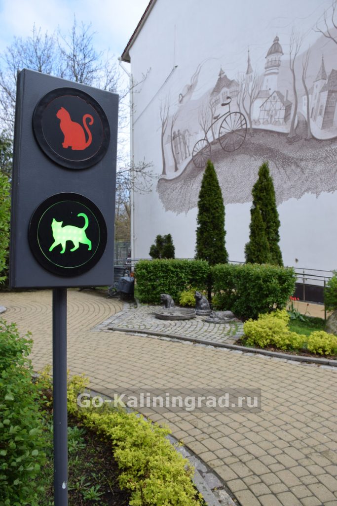 Светофор с котами